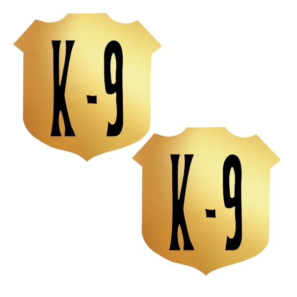 thumbnail-6.3.4.webp